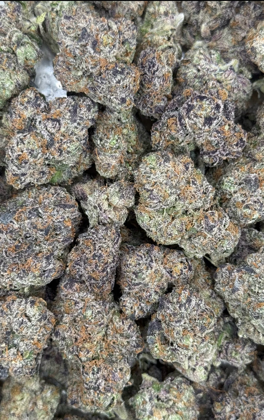 Danimals | Exotic THC Flower