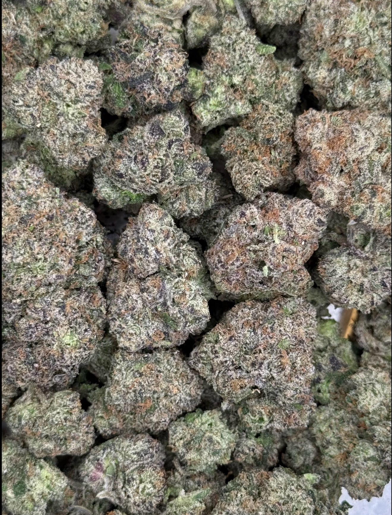 Candy Emerald Top Shelf Flower