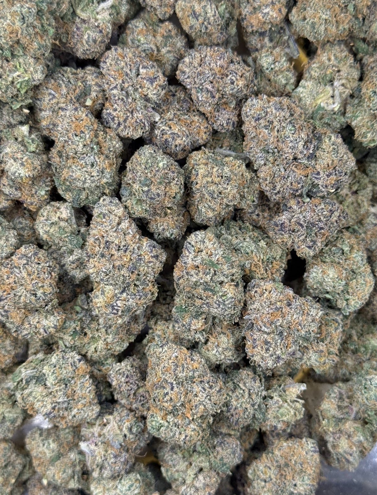 Baby Candy Exotic  | THC Flower