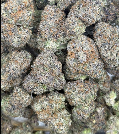 Candy Paint Top Shelf Flower