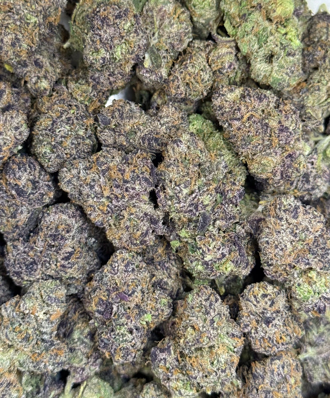 Purple Soda Exotic | THC Flower