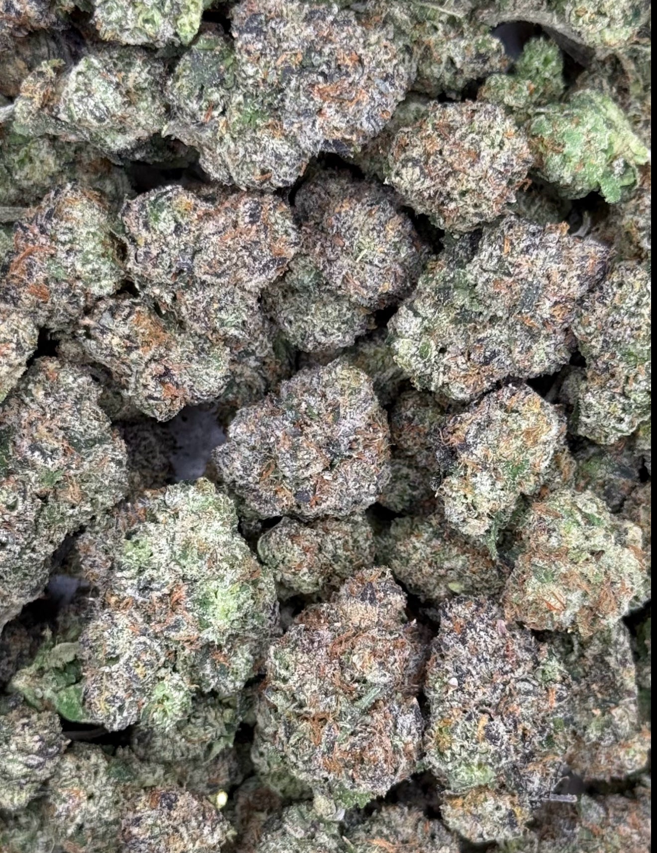 Chrome Heart Candy Top Shelf Flower