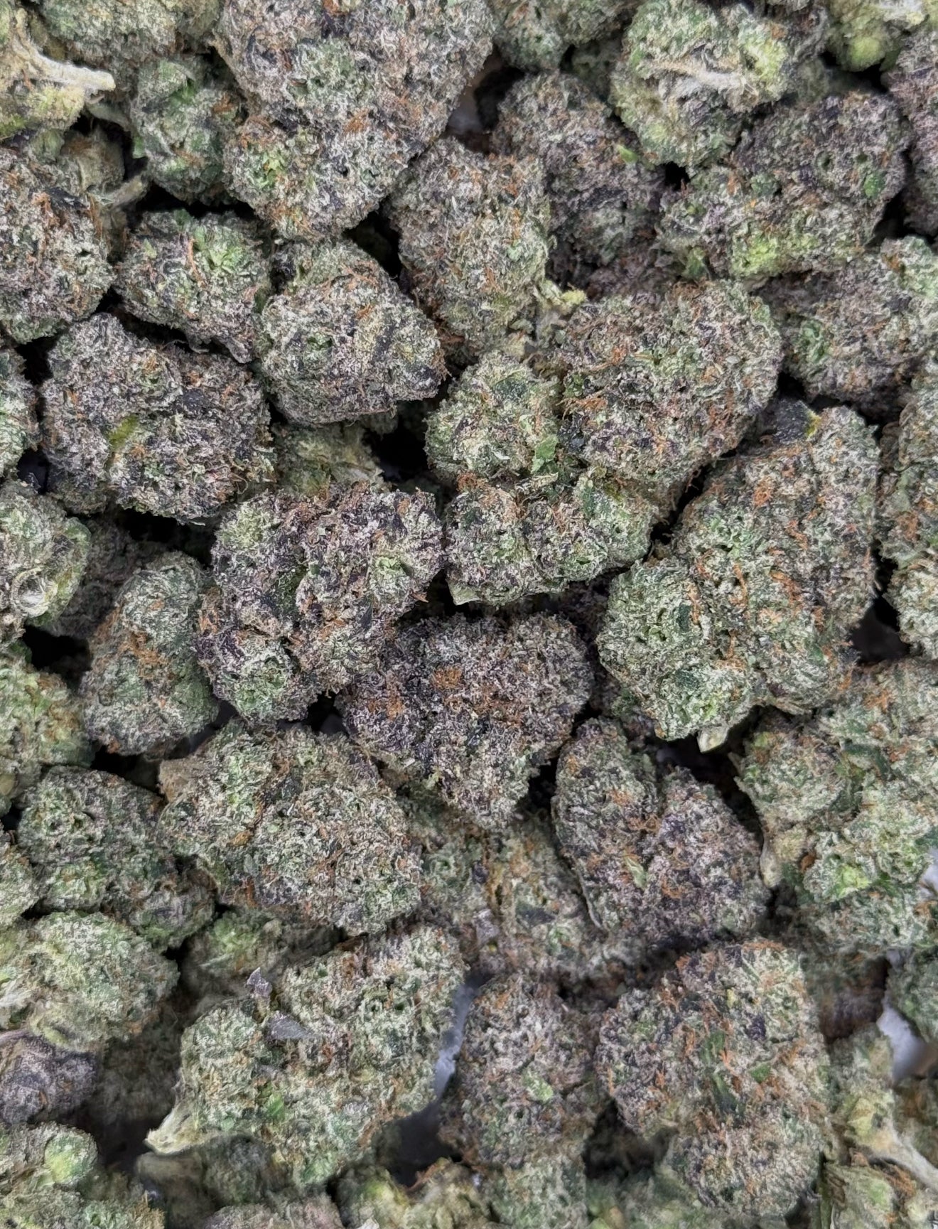 Marvelous Candy Top Shelf Flower
