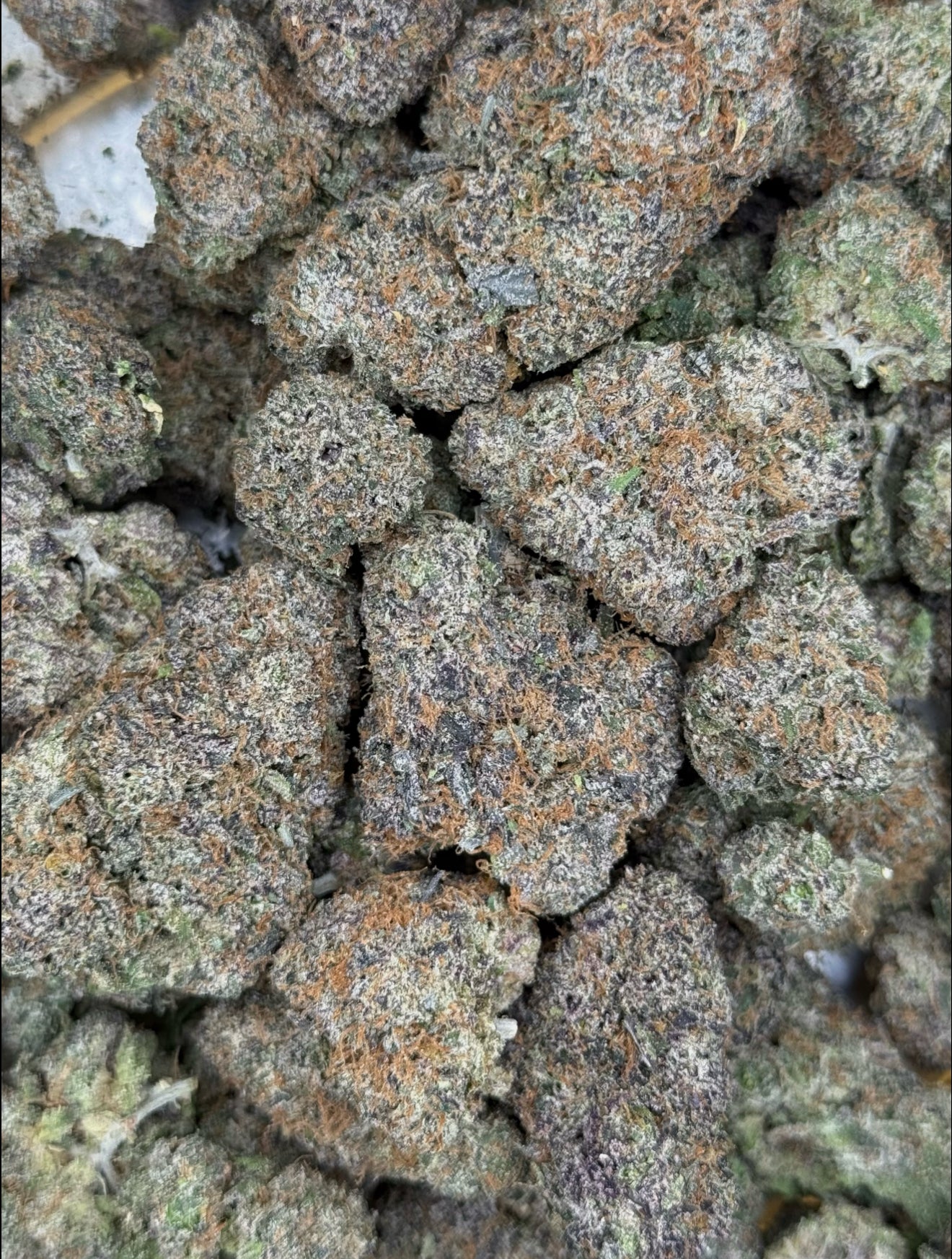 Gumbo Gushers Top Shelf Flower